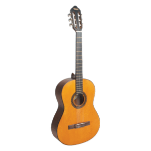 Guitarra Valencia VC204 4/4