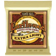 Ernie Ball 2006 Earthwood Bronze