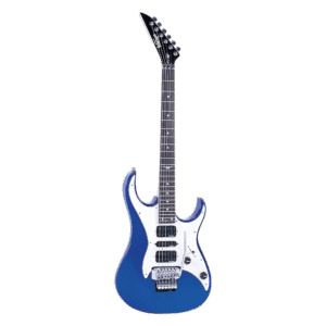 Vintage Guitar VR2000 EMB