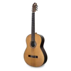 APC Guitarra 9C